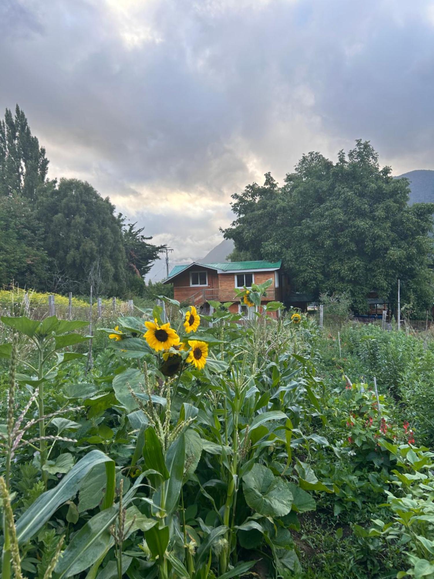 Turismo Rural Los Alpes Futaleufú Exterior foto
